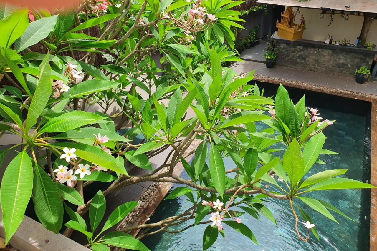Siem Reap Tevi Residence 外观 照片